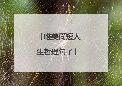 唯美简短人生哲理句子