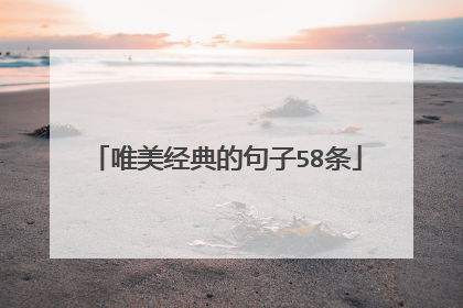 唯美经典的句子58条