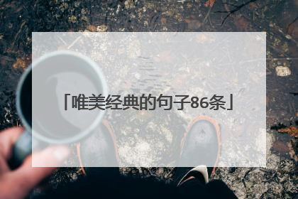 唯美经典的句子86条