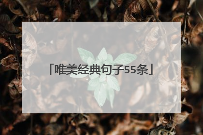 唯美经典句子55条