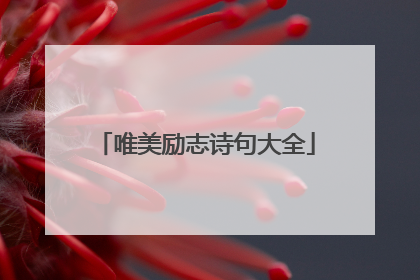 唯美励志诗句大全