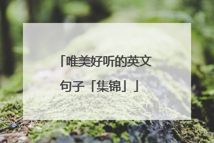唯美好听的英文句子「集锦」