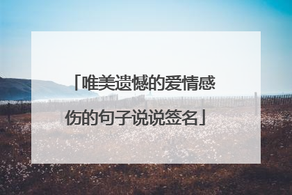 唯美遗憾的爱情感伤的句子说说签名