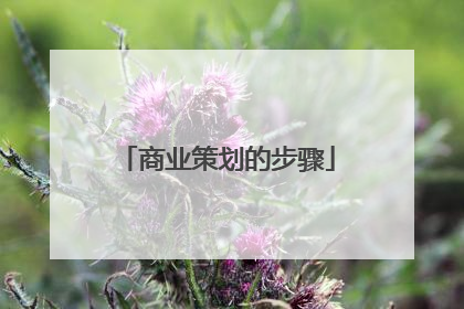 商业策划的步骤