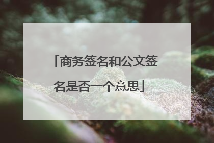 商务签名和公文签名是否一个意思