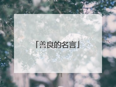 善良的名言