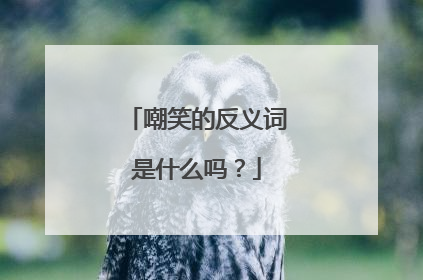 嘲笑的反义词是什么吗？