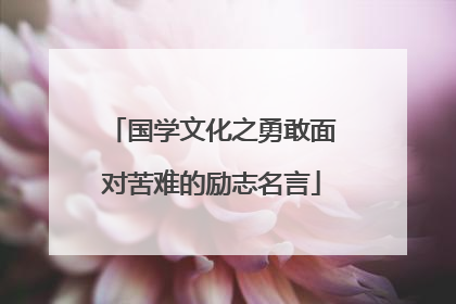 国学文化之勇敢面对苦难的励志名言