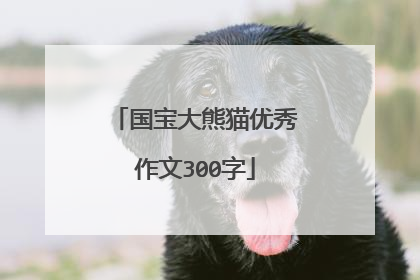 国宝大熊猫优秀作文300字