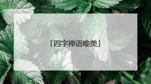 四字禅语唯美