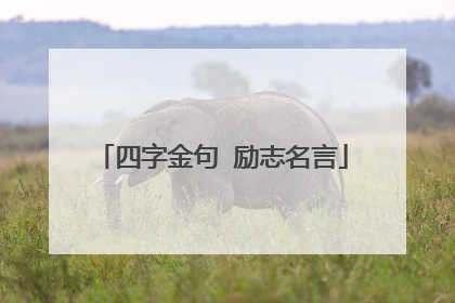 四字金句 励志名言