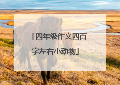 四年级作文四百字左右小动物