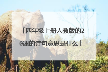 四年级上册人教版的20课的诗句意思是什么