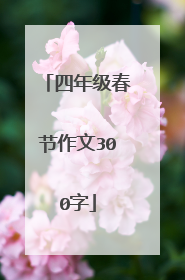 四年级春节作文300字