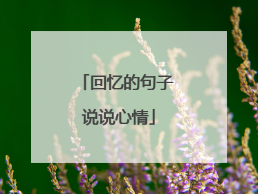 回忆的句子说说心情