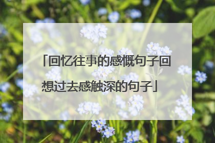 回忆往事的感慨句子回想过去感触深的句子