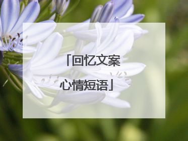 回忆文案心情短语