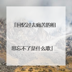 回忆过去痛苦的相思忘不了是什么歌