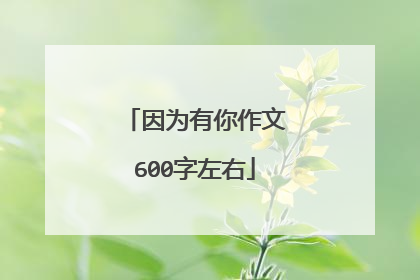 因为有你作文600字左右