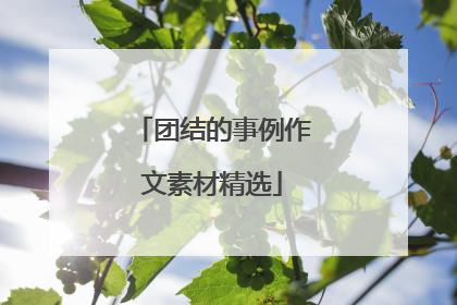 团结的事例作文素材精选