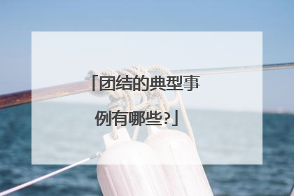 团结的典型事例有哪些?
