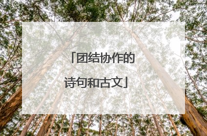 团结协作的诗句和古文