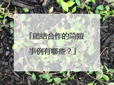 团结合作的简短事例有哪些？