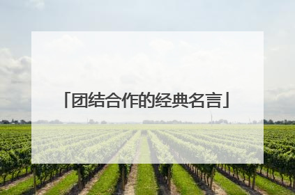 团结合作的经典名言