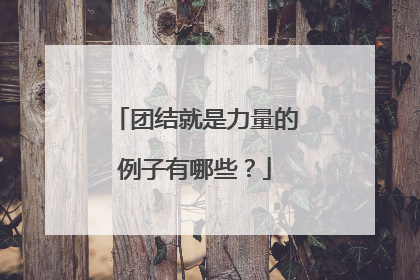 团结就是力量的例子有哪些?