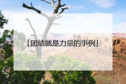 团结就是力量的事例