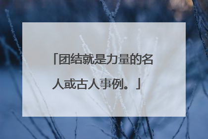 团结就是力量的名人或古人事例。