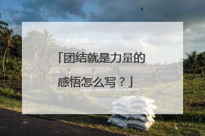 团结就是力量的感悟怎么写？