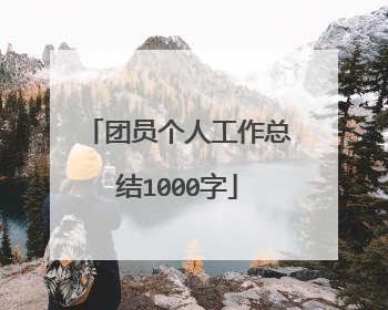 团员个人工作总结1000字