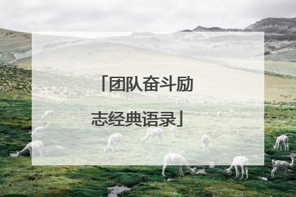 团队奋斗励志经典语录