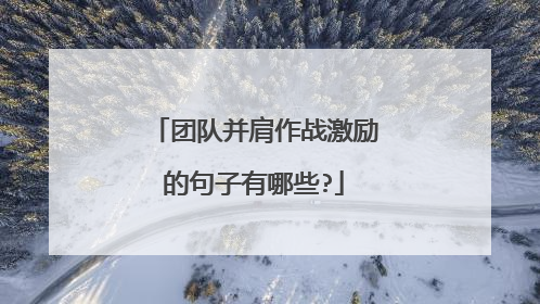 团队并肩作战激励的句子有哪些?