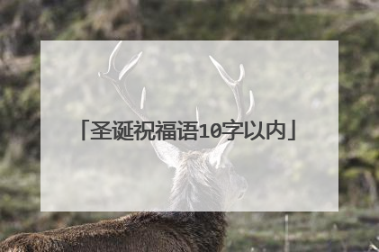 圣诞祝福语10字以内