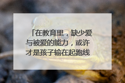 在教育里,缺少爱与被爱的能力,或许才是孩子输在起跑线上的影子?