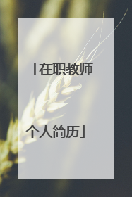 在职教师个人简历