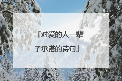 对爱的人一辈子承诺的诗句