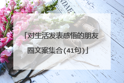 对生活发表感悟的朋友圈文案集合(41句)