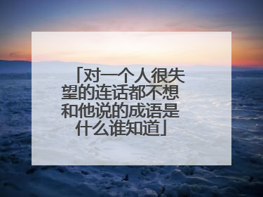 对一个人很失望的连话都不想和他说的成语是什么谁知道