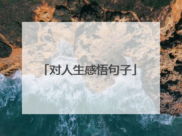 对人生感悟句子