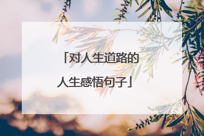 对人生道路的人生感悟句子