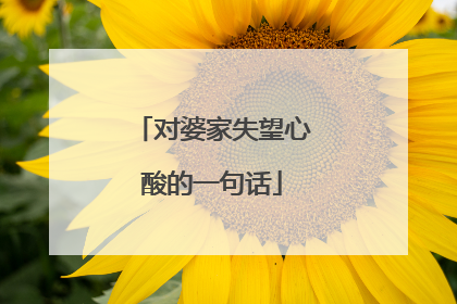 对婆家失望心酸的一句话