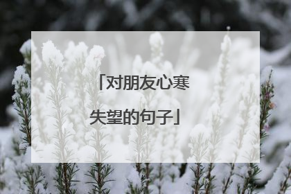 对朋友心寒失望的句子
