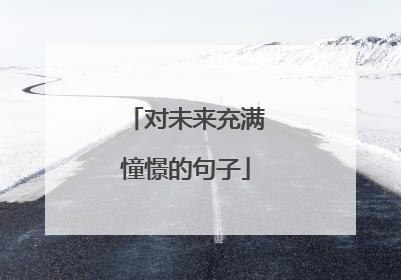 对未来充满憧憬的句子