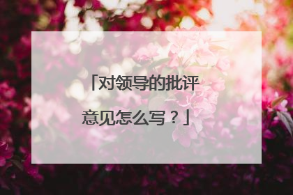 对领导的批评意见怎么写？