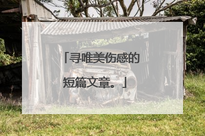 寻唯美伤感的短篇文章。