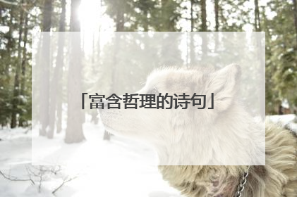 富含哲理的诗句