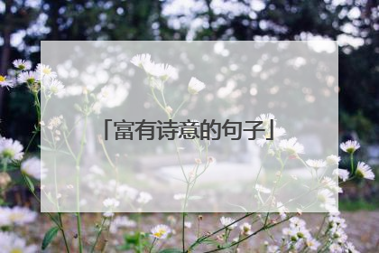 富有诗意的句子